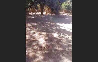 Imagem 5: Terreno em ibiapina - Ceará