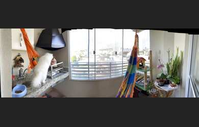 Imagem 7: Apartamento à venda - Bairro Jardim Country Club. R$400.000,00