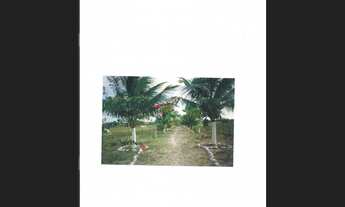 Imagem 6: Terreno - área rural em RIO REAL (BA