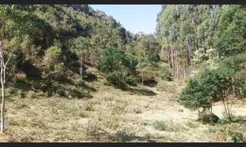 Imagem 5: Sítio em Alagoa MG, Terras Altas da Mantiqueira