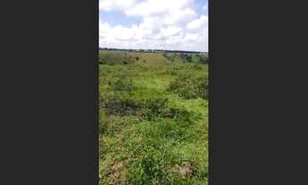 Imagem 2: Fazenda 250 hectares Sul da Bahia Teixeira de Freitas Bahia 73 999559555 Pecuária
