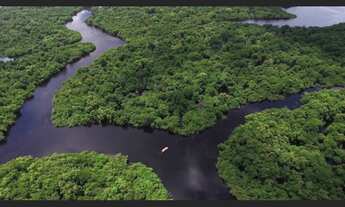Imagem 6: Grandes Áreas na Amazônia, documentadas
