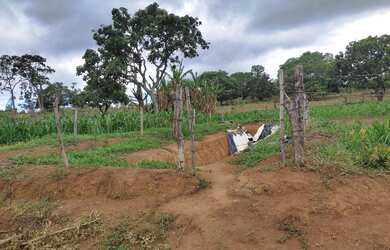 Imagem 7: Terreno plano de 31 há em Itaguara MG