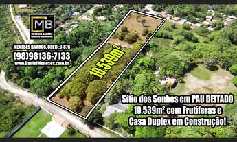 Imagem: Sítio à Venda em Pau Deitado  Paço