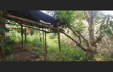 Imagem 3: Vendo terreno/chácara no Águas claras. Manaus_AM