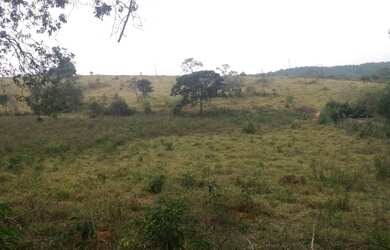 Imagem 2: Fazenda de 61 ha em passa tempo
