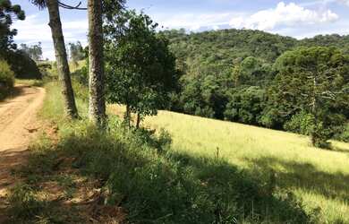 Imagem 5: Terreno em Camanducaia!!