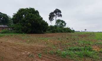 Imagem 2: VENDO TERRENO COM 2.500M² E ÓTIMA LOCALIZAÇÃO