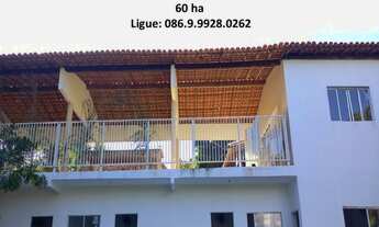 Imagem 7: Sitio em Timon – Povoado Itaquara