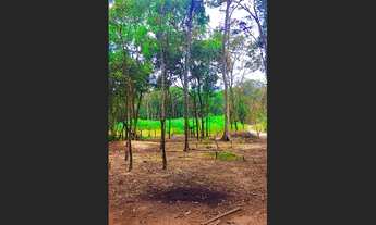 Imagem 2: Vendo ou troco chácara por casa em Lucas do Rio Verde