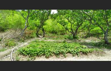 Imagem 6: Lindo sítio com piço tubular, um riozinho e olho dágua