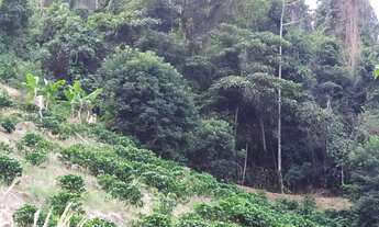 Imagem 2: Chácara em domingo Martins