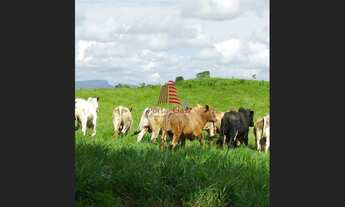 Imagem 4: Fazenda p/gado c/ 1.000 tarefas, em Nossa Senhora das Dores por R$ 10 mil reais a tarefa!