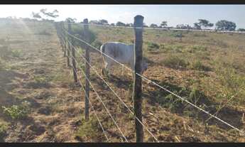 Imagem 6: Vendo fazenda valor 500.000.00