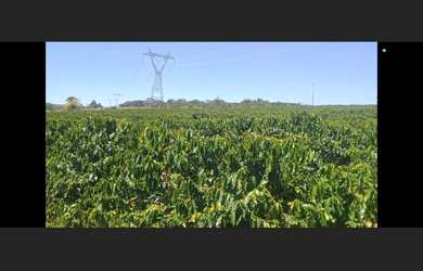 Imagem 7: Terreno de 15 mil mt em oliveira