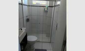 Imagem 4: Alpha class aruana