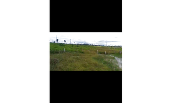 Imagem 5: 2 Lotes na Vicinal 14 de Entre Rios-Roraima