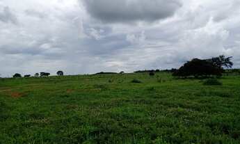 Imagem 2: Fazenda em Barra do Garças-MT