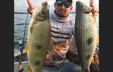 Imagem 5: Rancho castilho às margens do rio Paraná