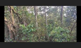 Imagem: Terreno de 25 ha em Itaguara MG