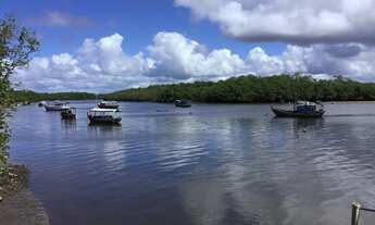 Imagem: Ilha do Contrato Península Maraú BA