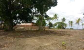 Imagem 3: área 2 hectares a menos de 8 minutos da praia de mangue seco