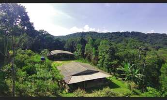 Imagem: Chácara à Venda em Juquitiba SP com 10.000
