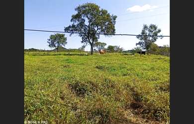 Imagem 5: Fazenda de 40 ha em Paraopeba