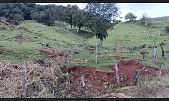 Imagem 4: Chácara 2 alqueires a 5 Kilometros de jardim alegre PR a 2 km do asfalto