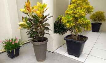 Imagem 3: Espaço Itacoatiara- AM - Pousada