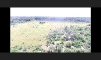 Imagem 2: Fazenda com 112,5 hectares em Colares 80% aberta por R$600 mil