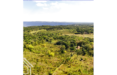 Imagem 6: PROPRIEDADE COM 40 HECTARES DISPONÍVEL PARA VENDA EM SÃO BENEDITO