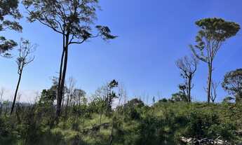 Imagem 4: VENDO TERRENO 1.224,58 m² EM SANTA BRANCA – ESTÂNCIA NOVA CAMPOS DE JORDÃO