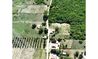 Imagem 6: Excelente sítio disponível para venda com 7 hectares em São Benedito!