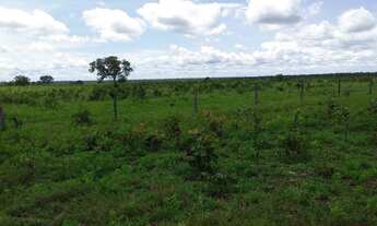 Imagem 2: 1.090 Alqs Ótima Terra Água e Logística Região Dianópolis TO