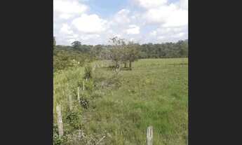 Imagem 2: Fazenda 77 alqueires a 55 km de Castanhal está suja