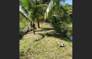 Imagem 5: Sitio em fundao Fazenda / sítio com 2 dormitórios