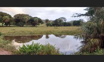 Imagem 3: 1.036 Alqs Abertos Planta Soja Plana Região d Gurupí TO