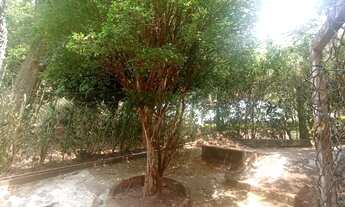 Imagem 7: Casa com03 quartos em Pedro do Rio - Petrópolis/RJ