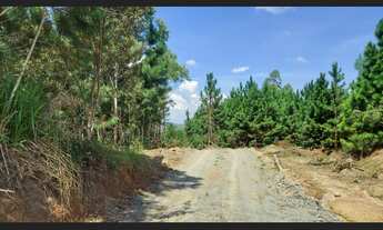 Imagem 4: Fazenda à Venda 488,86 hectares Aptidão para Reflorestamento em Rio do Campo SC