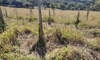 Imagem 3: Terreno de 36 há em Oliveira