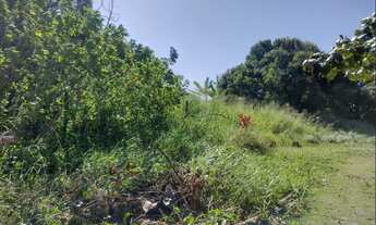 Imagem 3: Lote Inteiro, 100 Metros Do Mar!