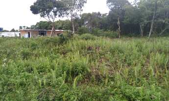 Imagem 6: Terreno c/ escritura na praia de Itanhaém