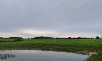 Imagem 2: R$800 mil fazendola 52 hectares a 20 km de Castanhal PA documentada