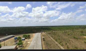Imagem 6: 3 galpão pra granja 75 mil frangos em pleno funcionamento poço 250 hectares