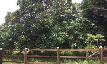 Imagem 5: FAZENDA EM SÃO FELIPE-BA