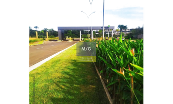 Imagem: ULTIMAS UNIDADES ALPHAVILLE