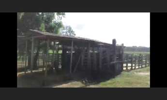 Imagem 7: Fazenda com 400 hectares no Pará sentido Bragança pronta por R$2,5 milhões