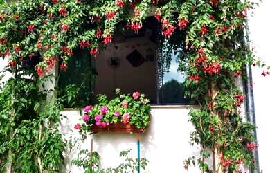 Imagem 3: Linda Chácara Urbana para Eventos - à venda/permuta