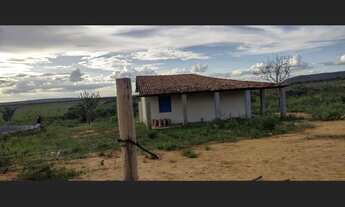 Imagem 4: Propriedade rural a venda